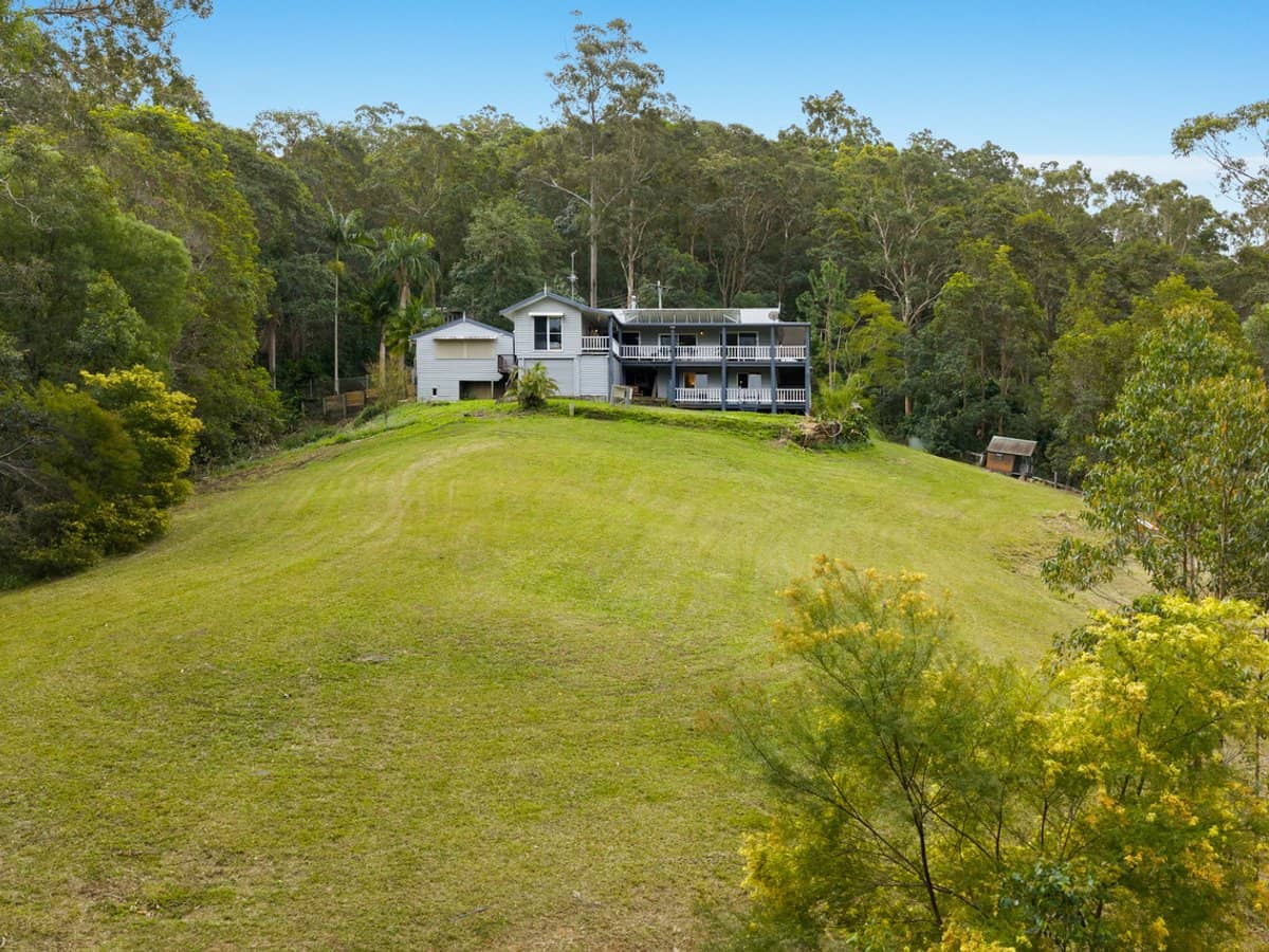 36 Pinetree Court, MUDGEERABA - Thumbnail 3