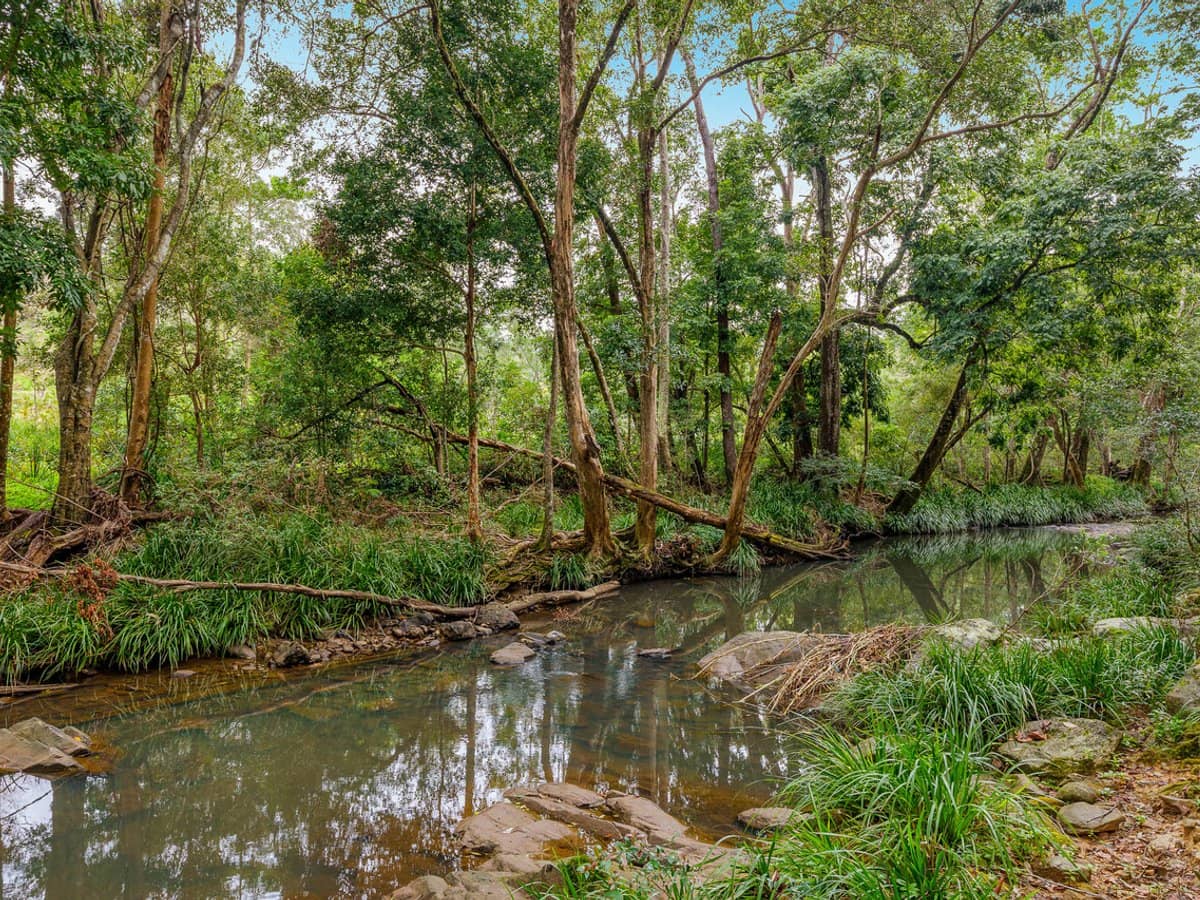 36 Pinetree Court, MUDGEERABA - Thumbnail 6