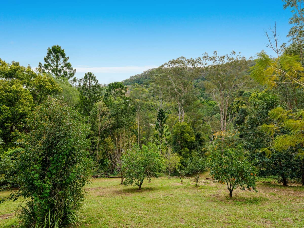 36 Pinetree Court, MUDGEERABA - Thumbnail 29