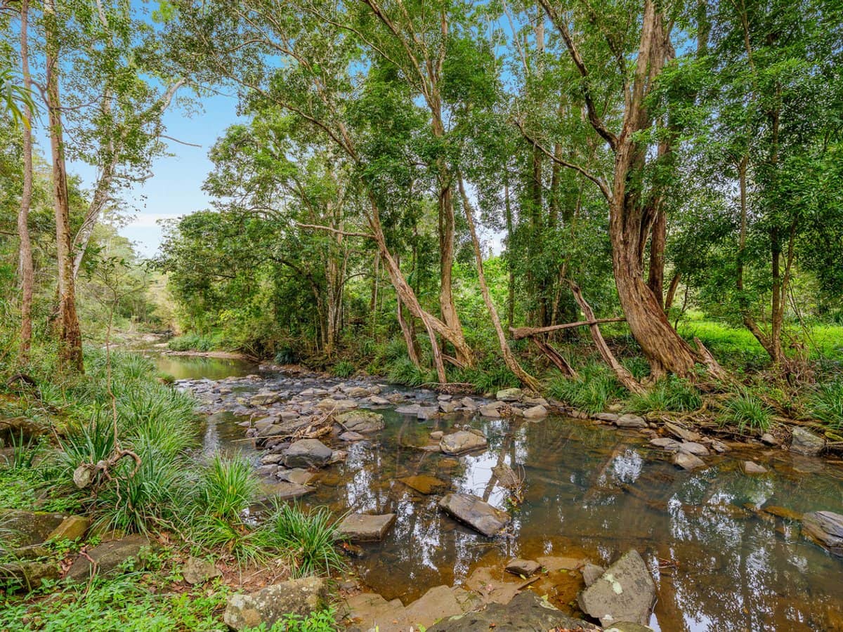36 Pinetree Court, MUDGEERABA - Thumbnail 31