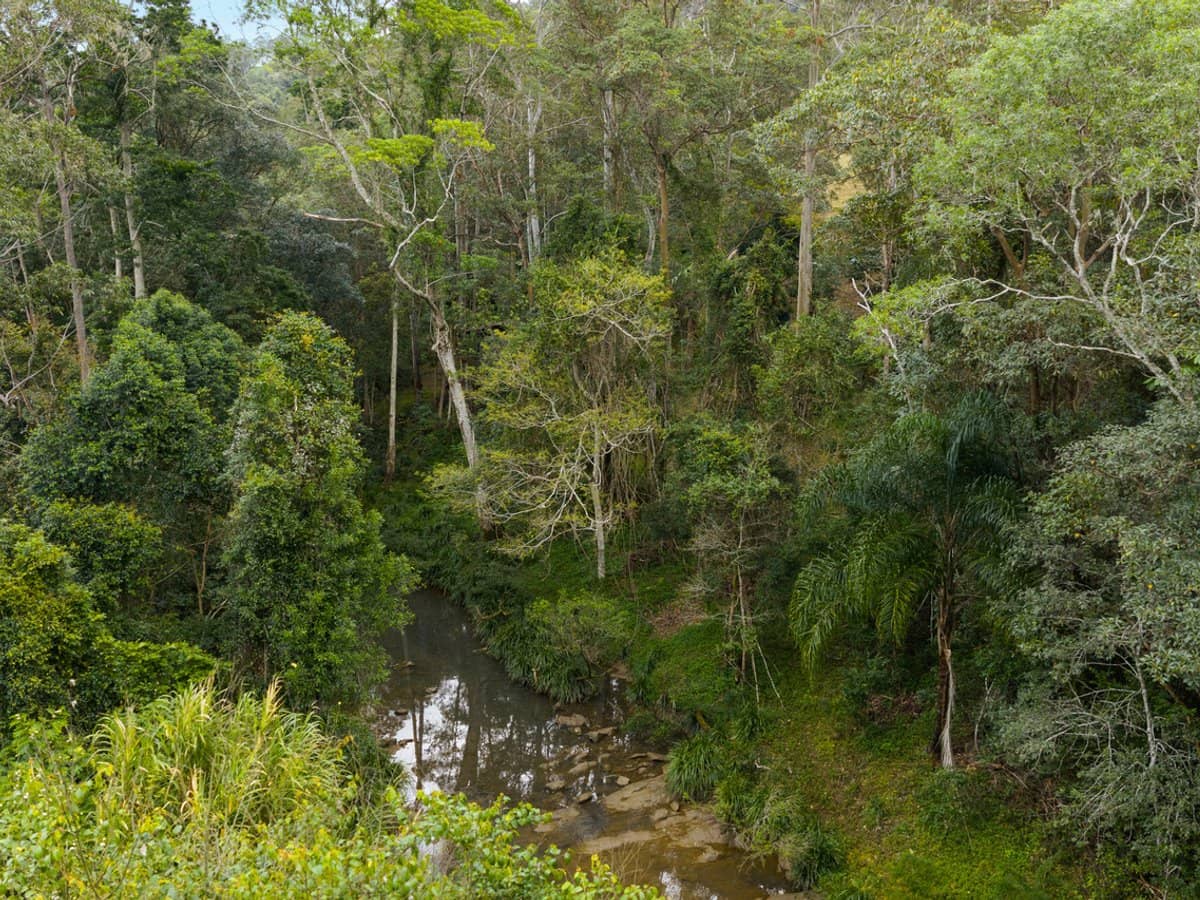 36 Pinetree Court, MUDGEERABA - Thumbnail 32