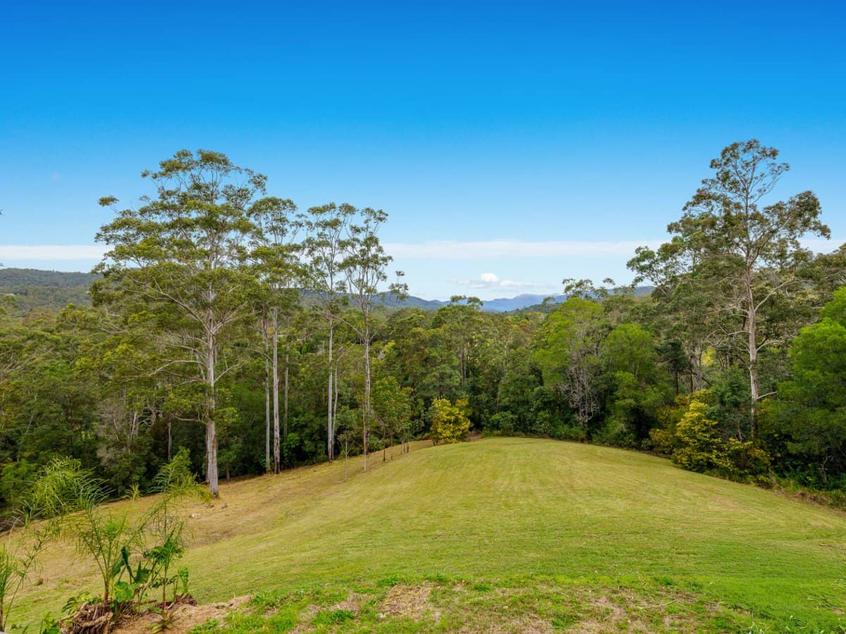 36 Pinetree Court, MUDGEERABA - Thumbnail 34