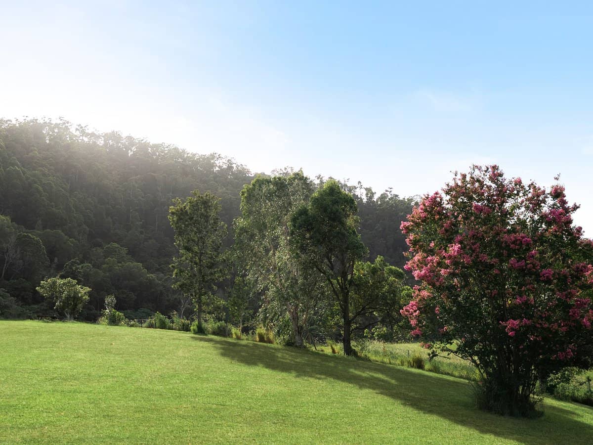 132 Currey Road, WONGAWALLAN - Thumbnail 25