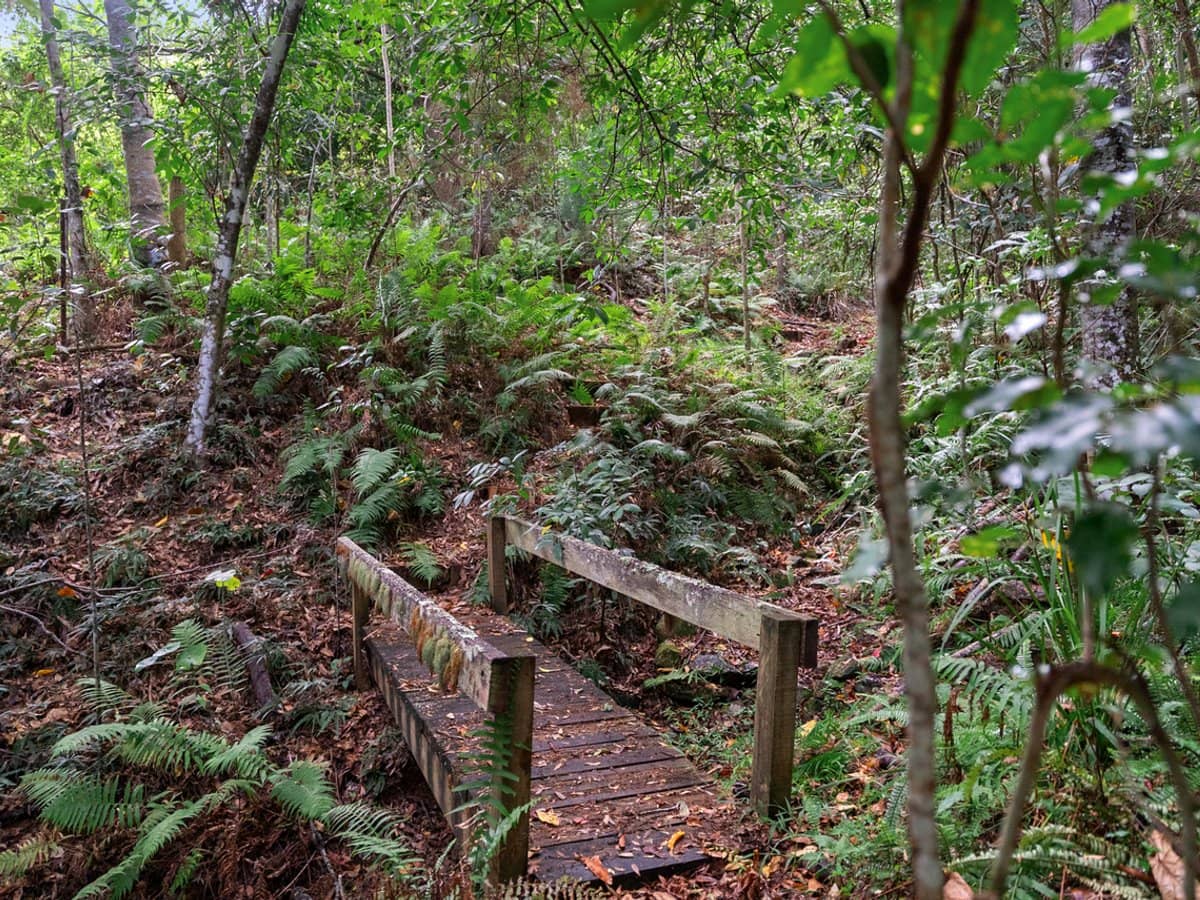 132 Currey Road, WONGAWALLAN - Thumbnail 27