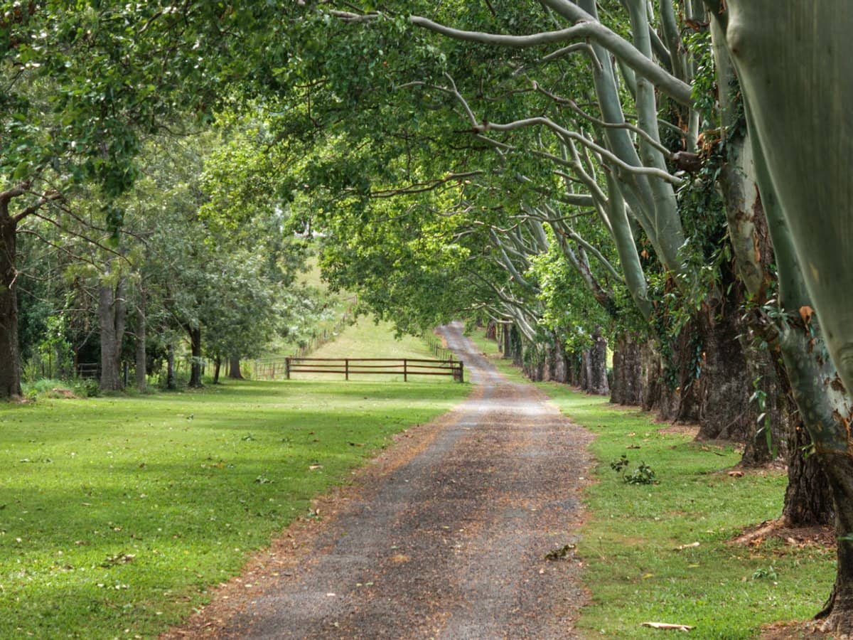 132 Currey Road, WONGAWALLAN - Thumbnail 30