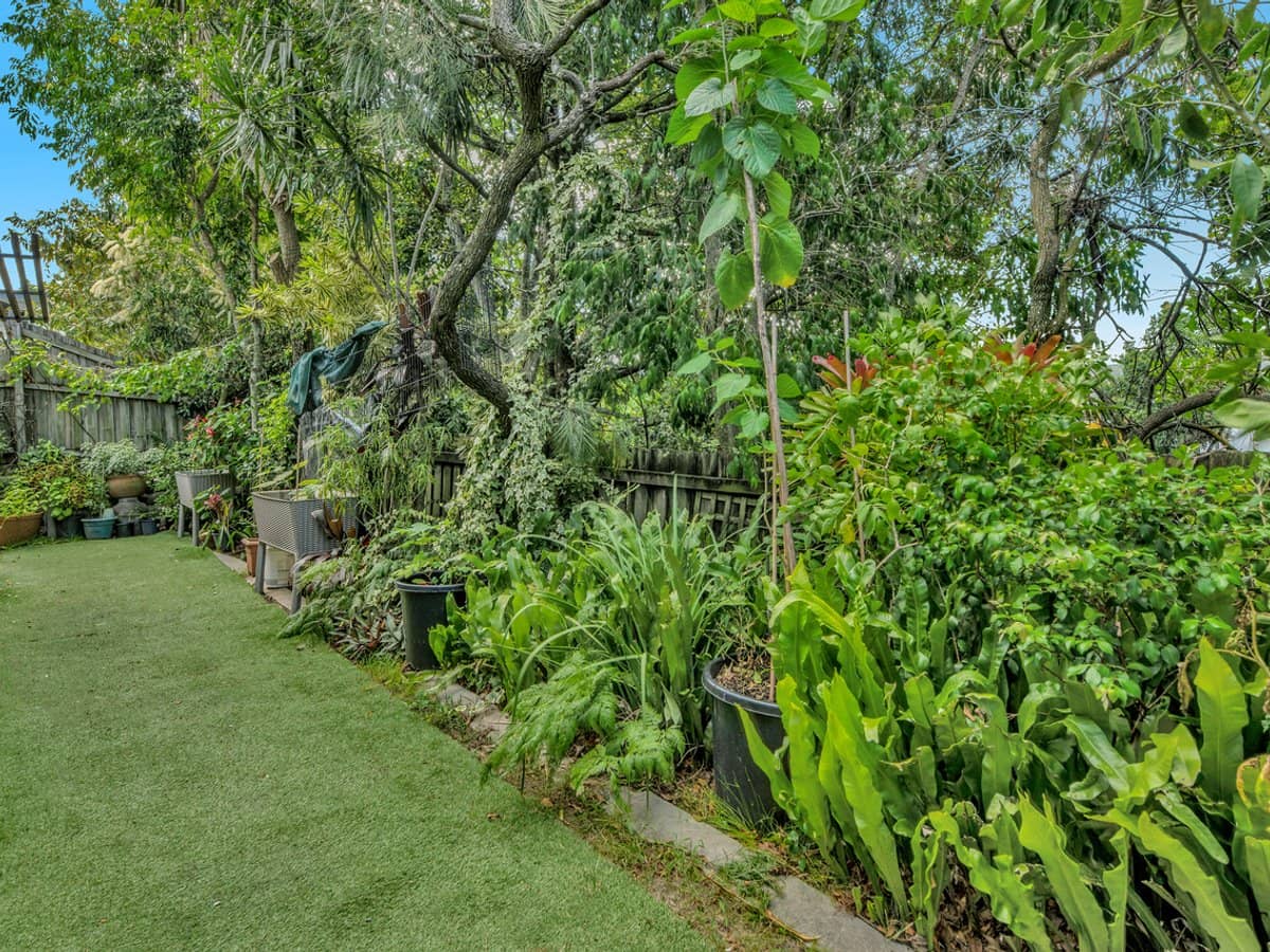 3 Norfolk Drive, PACIFIC PINES - Thumbnail 8