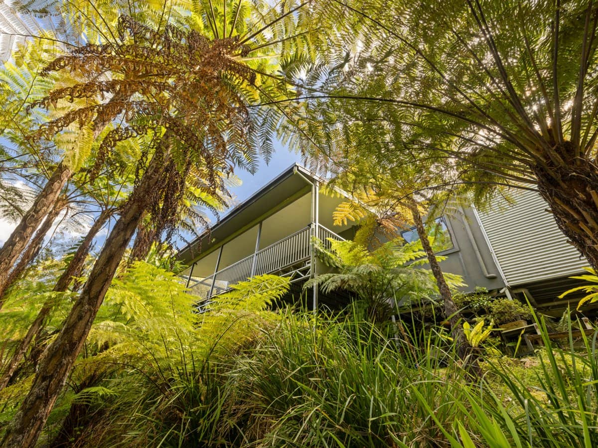 200 Freemans Road, LOWER BEECHMONT - Thumbnail 33