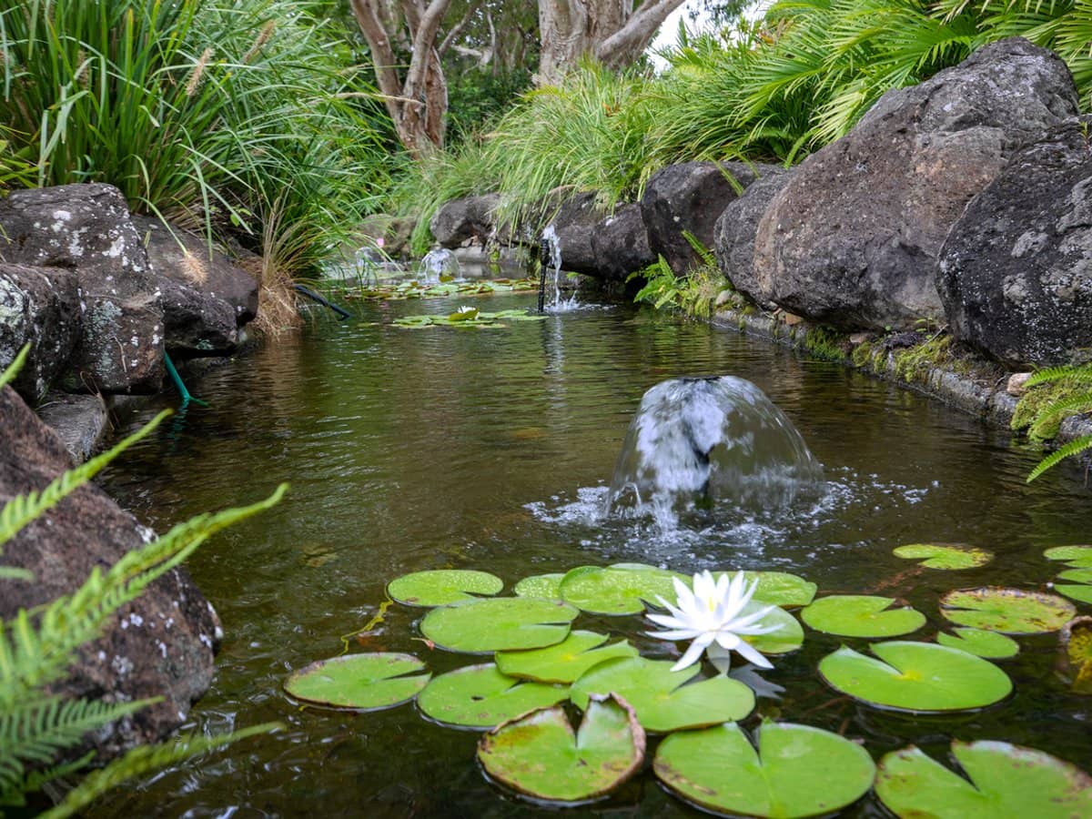 99/8 Admiralty Drive, Surfers Paradise - Thumbnail 28