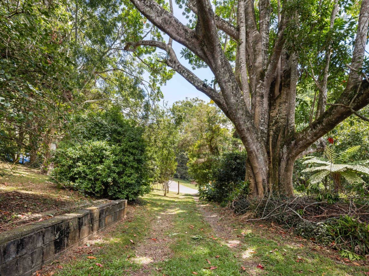 14 Platt Place, Tamborine Mountain - Thumbnail 6