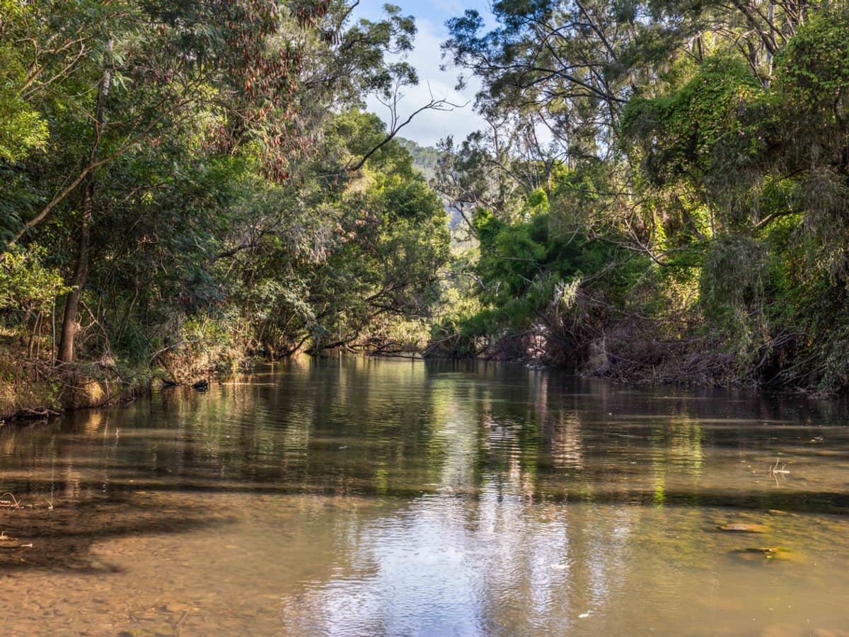 704 Lamington National Park Road, Canungra - Thumbnail 18