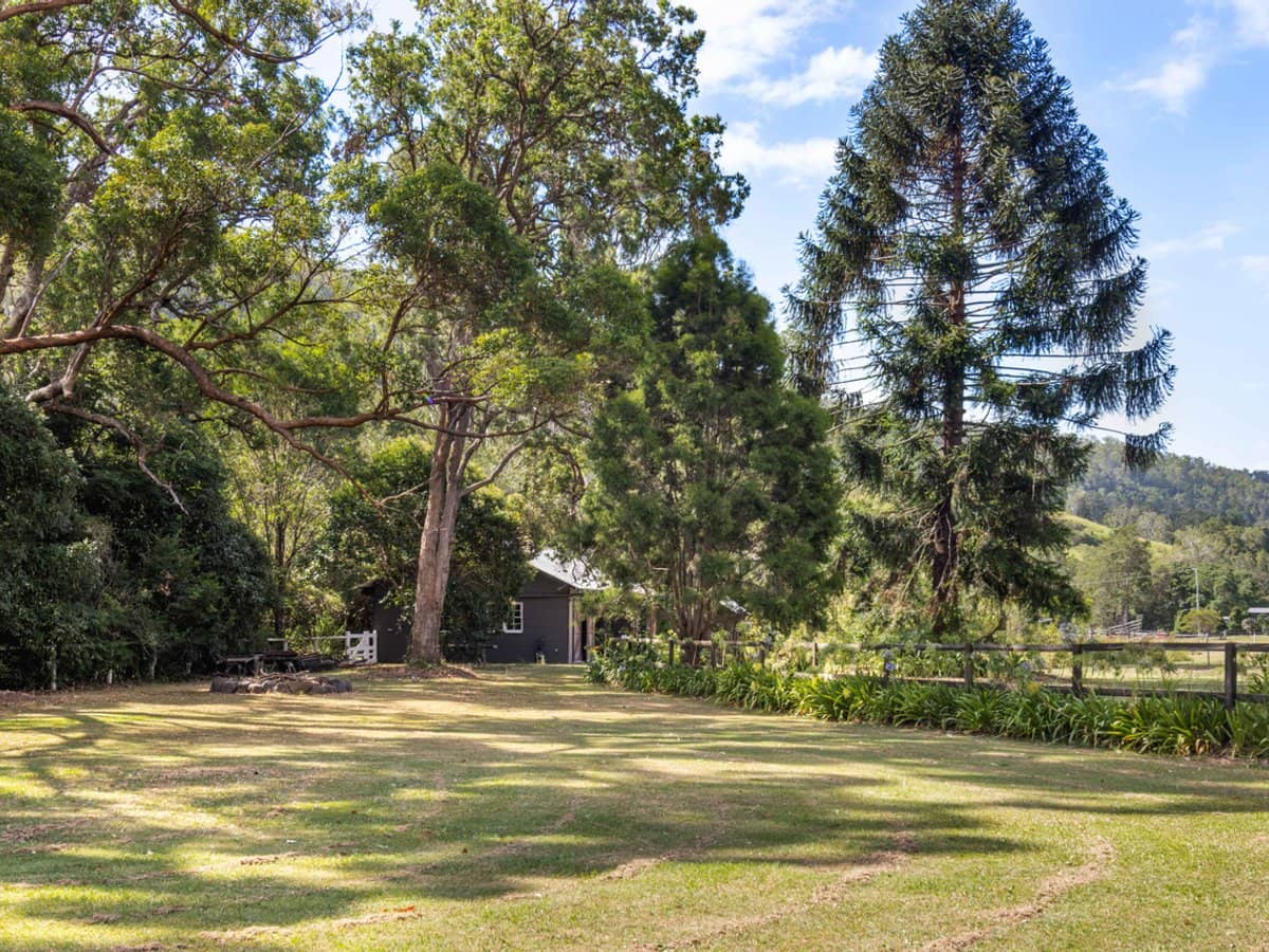 704 Lamington National Park Road, Canungra - Thumbnail 22