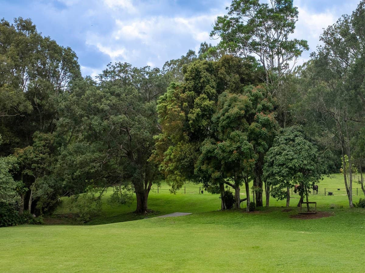 557 Tallebudgera Creek Road, Tallebudgera Valley - Thumbnail 16