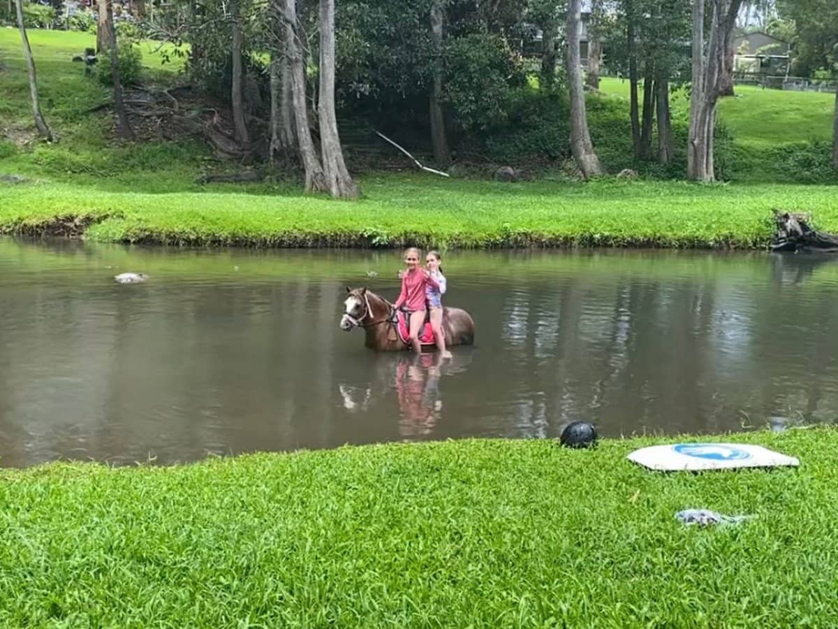 557 Tallebudgera Creek Road, Tallebudgera Valley - Thumbnail 17