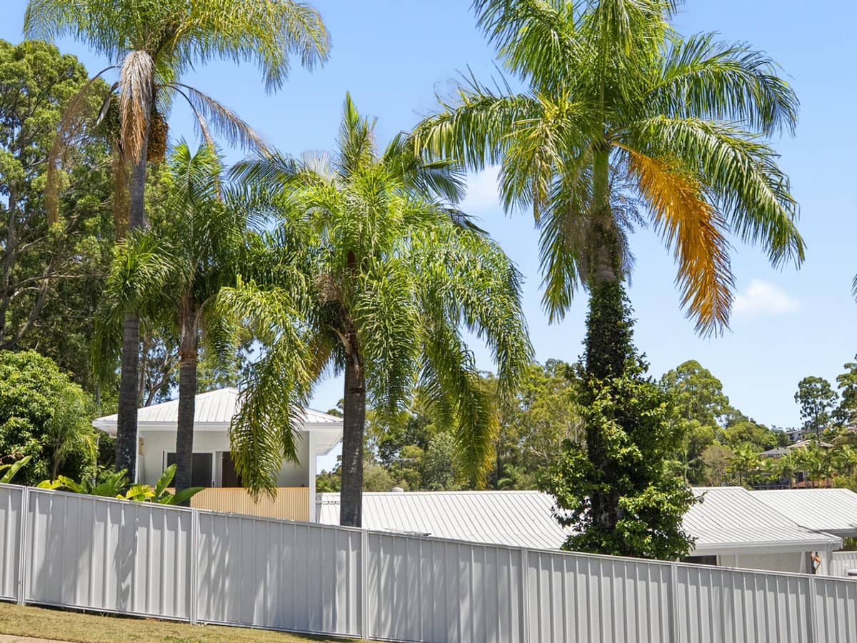 20 Sturt Street, MOLENDINAR - Thumbnail 3