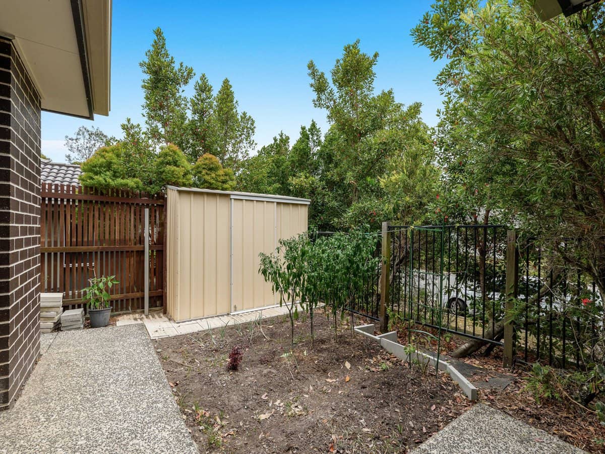 35 Danbulla Street, Pimpama - Thumbnail 16