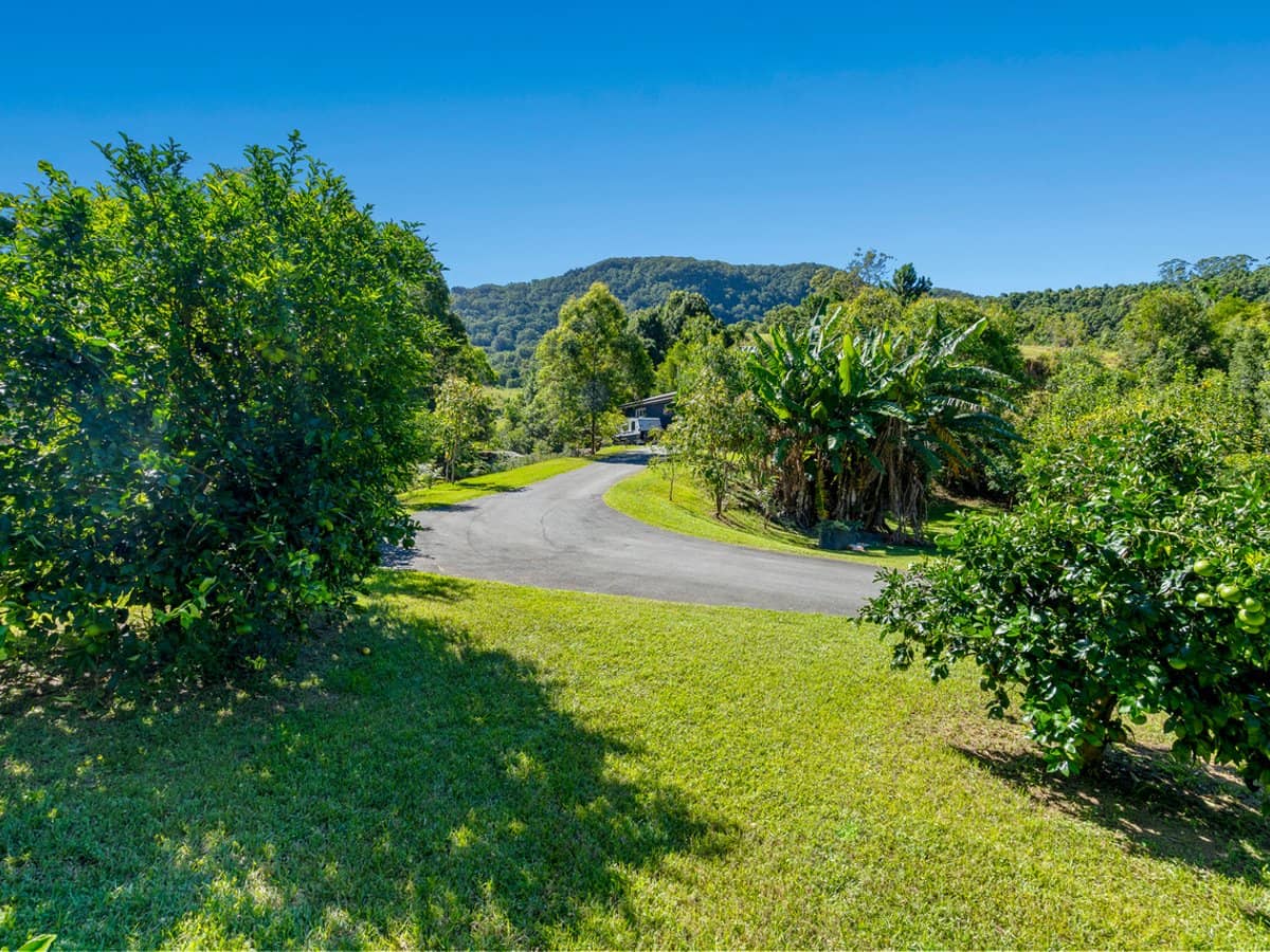 1318 Currumbin Creek Road, Currumbin Valley - Thumbnail 4