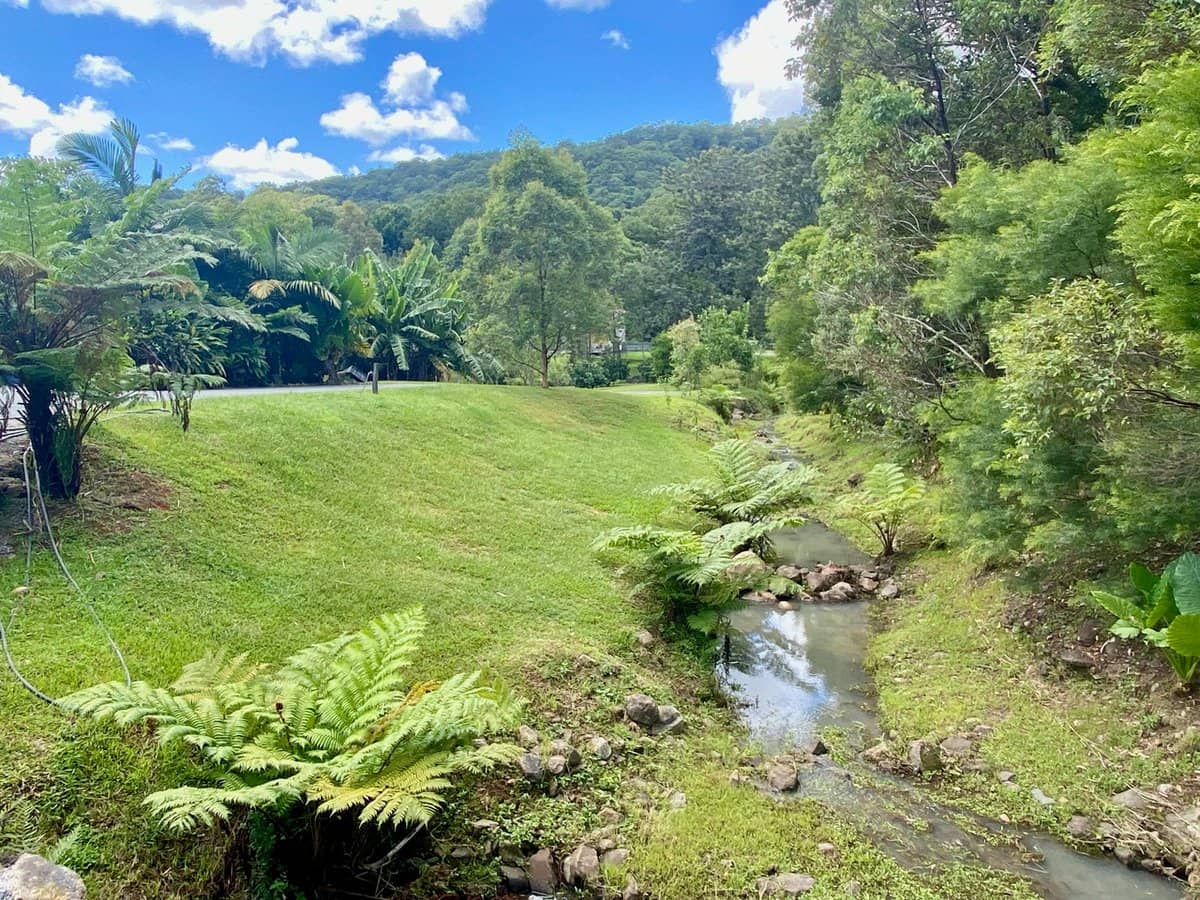 1318 Currumbin Creek Road, Currumbin Valley - Thumbnail 6