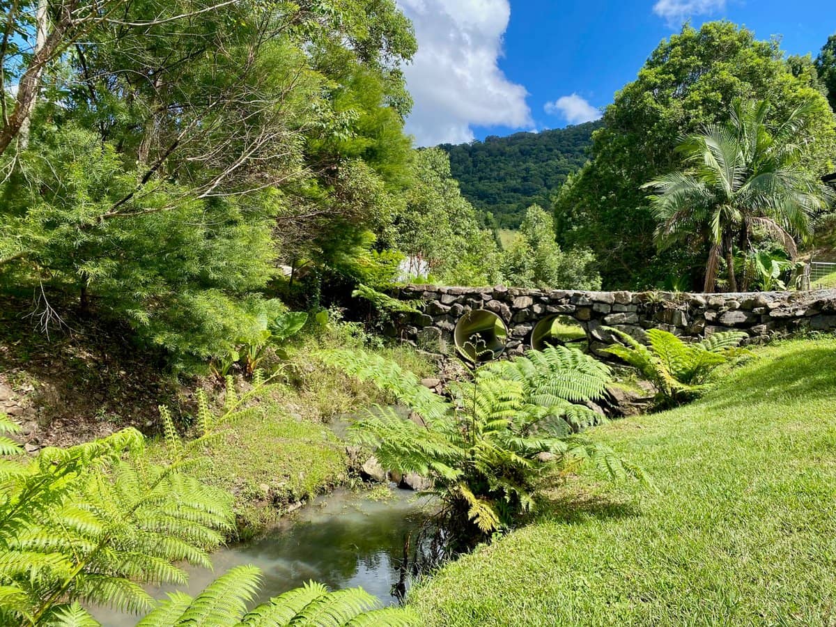 1318 Currumbin Creek Road, Currumbin Valley - Thumbnail 7