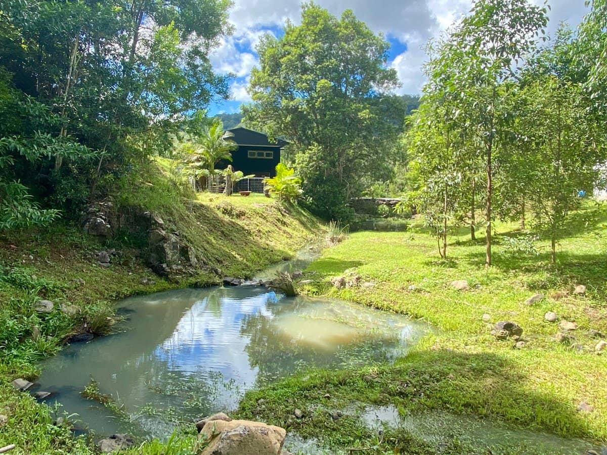 1318 Currumbin Creek Road, Currumbin Valley - Thumbnail 8