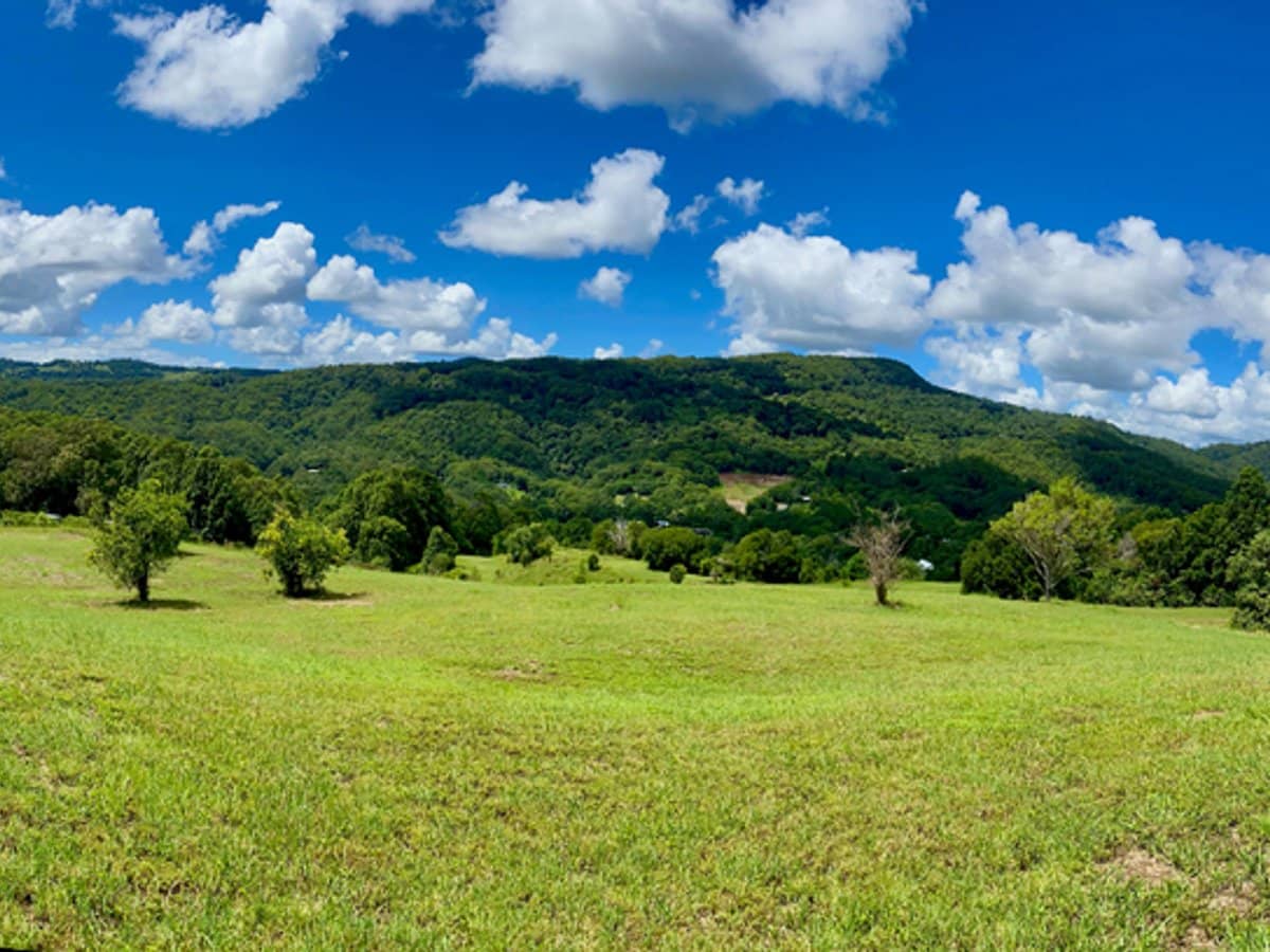 1318 Currumbin Creek Road, Currumbin Valley - Thumbnail 23