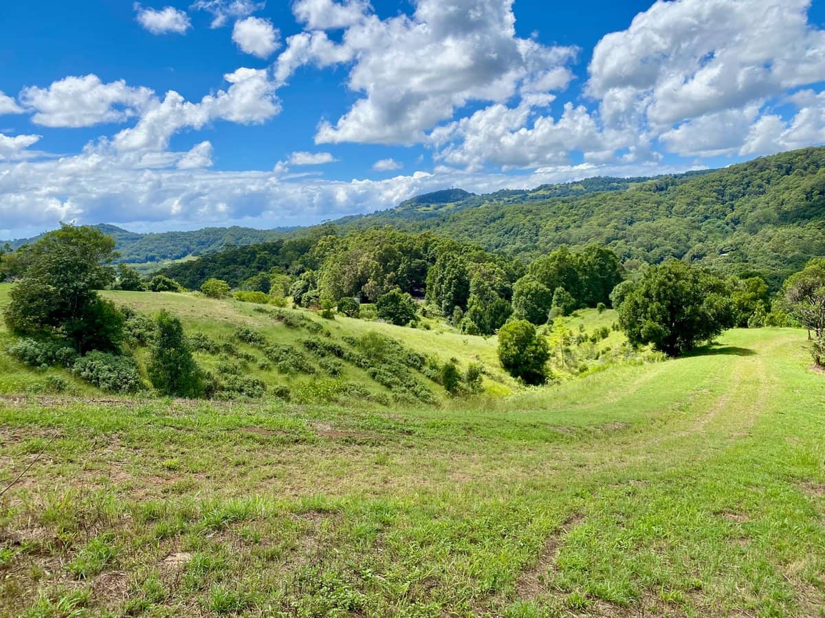 1318 Currumbin Creek Road, Currumbin Valley - Thumbnail 24