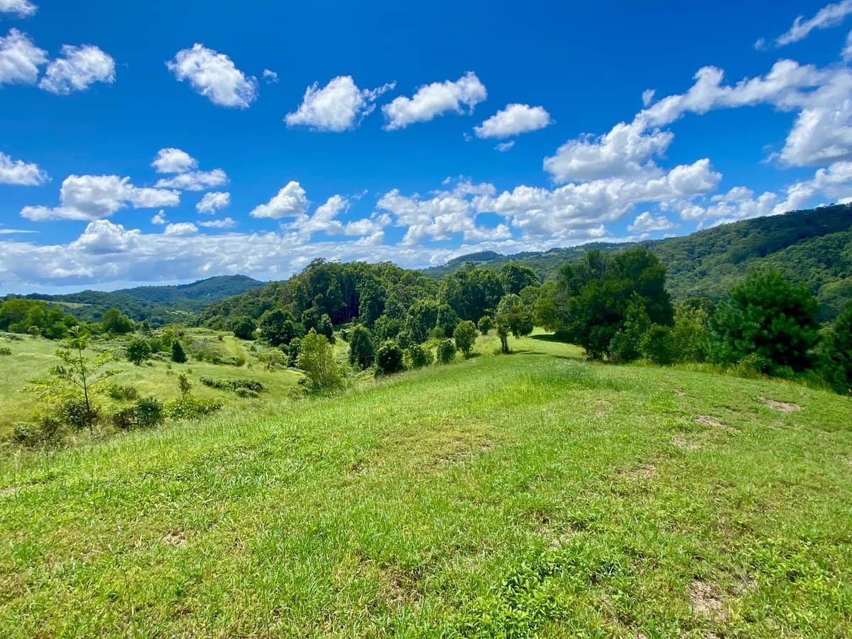 1318 Currumbin Creek Road, Currumbin Valley - Thumbnail 26