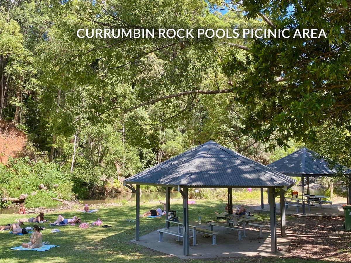 1318 Currumbin Creek Road, Currumbin Valley - Thumbnail 29