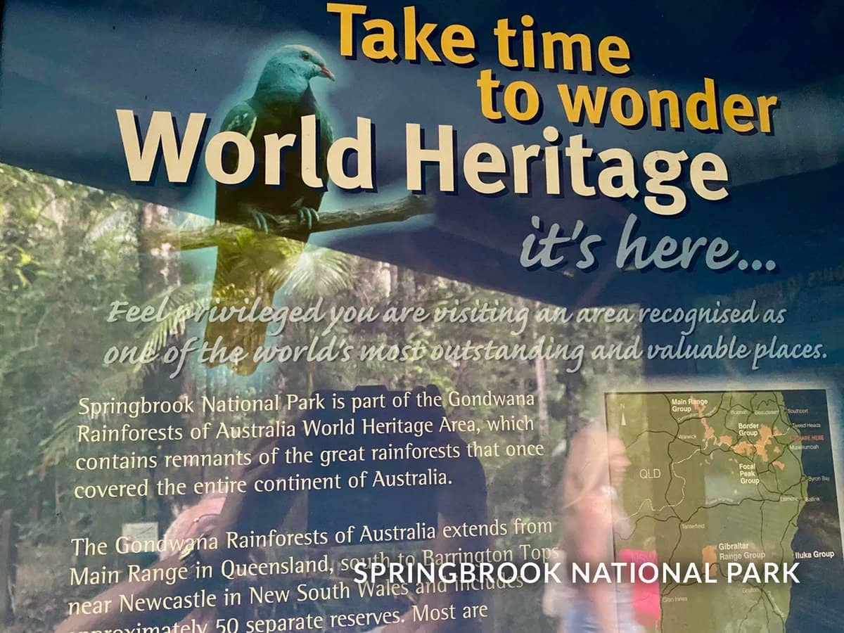 1318 Currumbin Creek Road, Currumbin Valley - Thumbnail 31