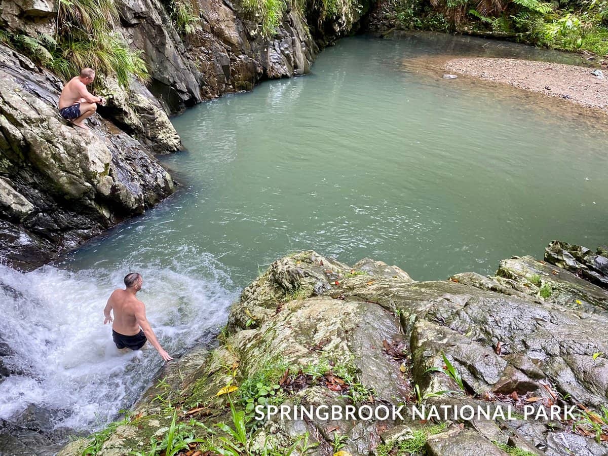 1318 Currumbin Creek Road, Currumbin Valley - Thumbnail 32