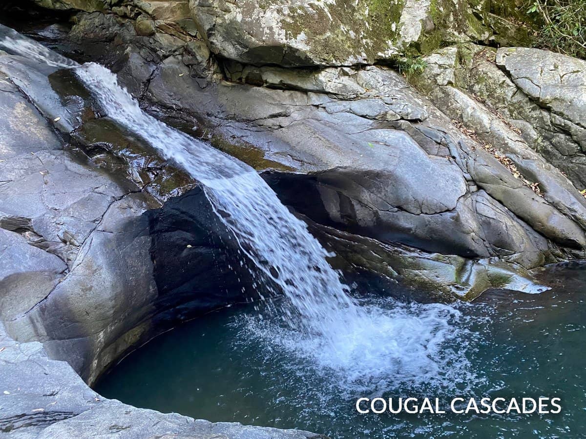 1318 Currumbin Creek Road, Currumbin Valley - Thumbnail 33