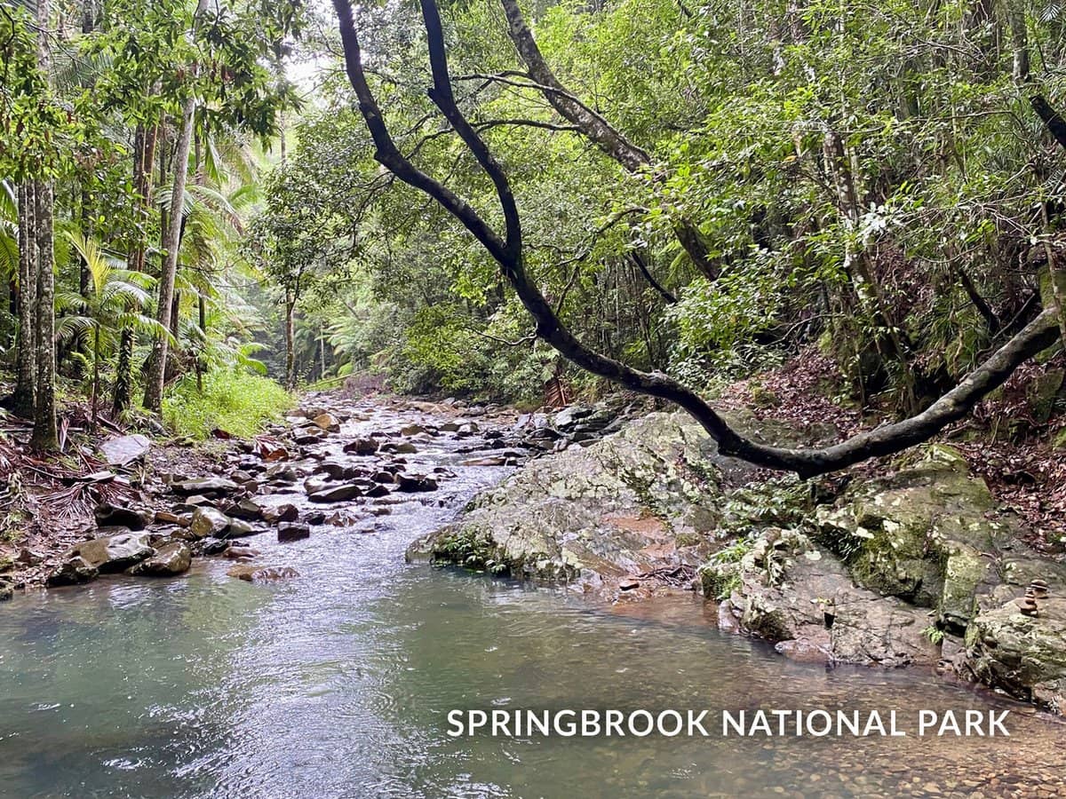 1318 Currumbin Creek Road, Currumbin Valley - Thumbnail 34