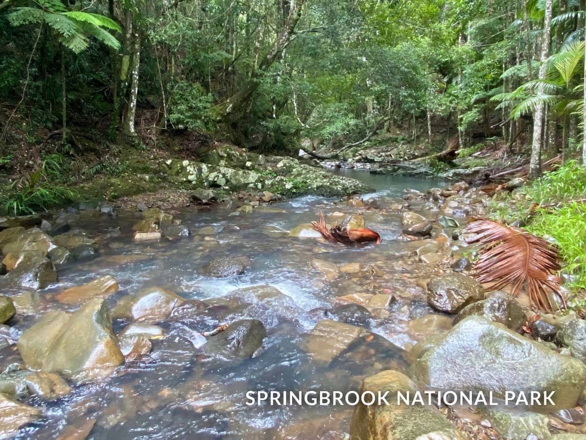 1318 Currumbin Creek Road, Currumbin Valley - Thumbnail 35