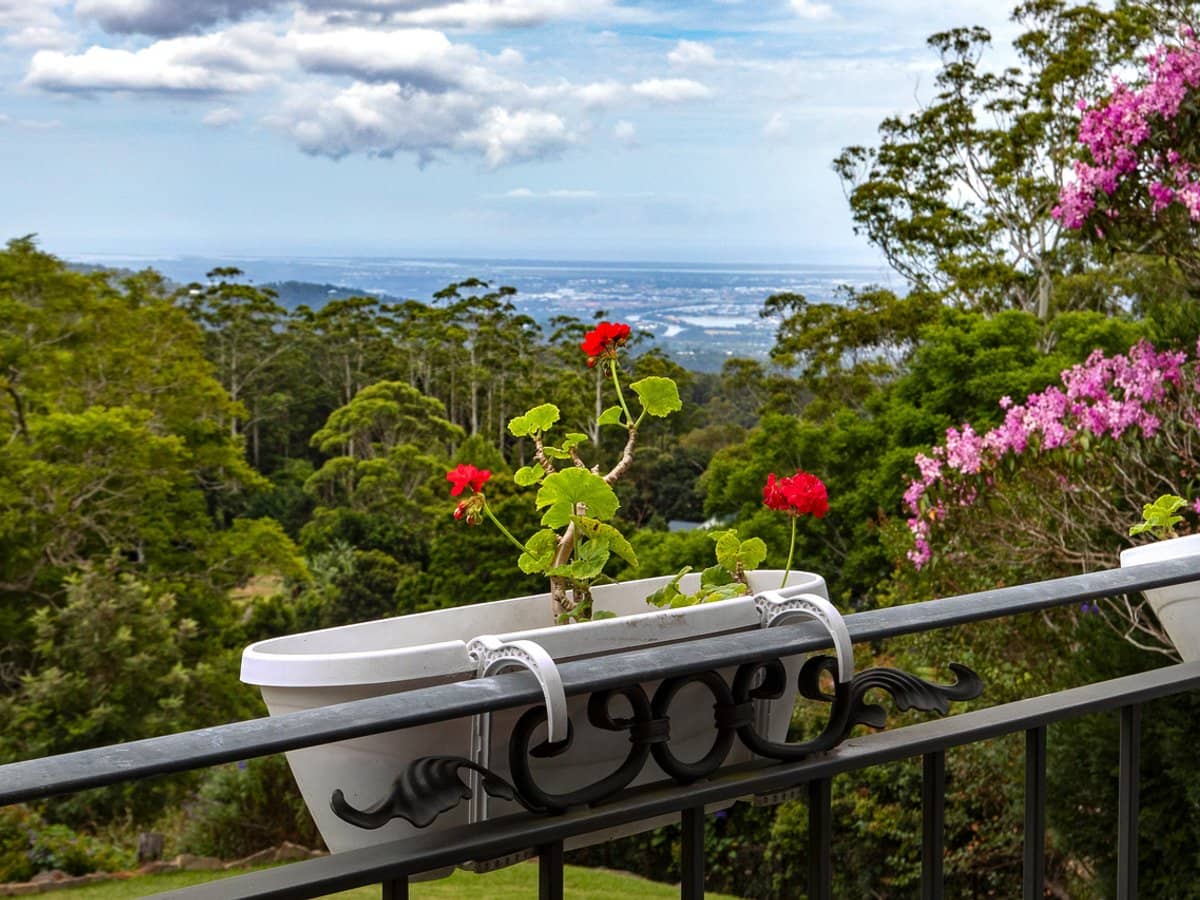 4-6 Moreton Bay Avenue, Tamborine Mountain - Thumbnail 11