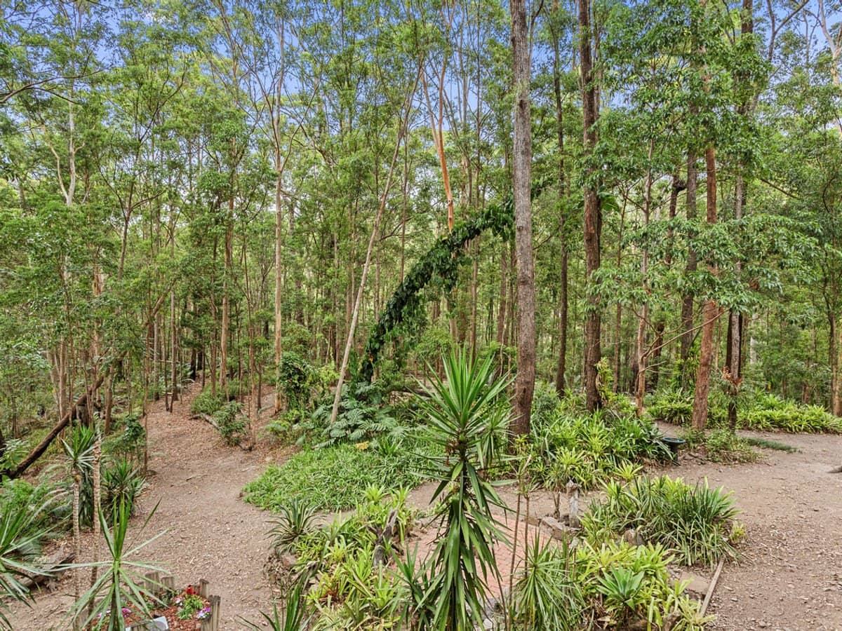 56 Waters Road, BONOGIN - Thumbnail 6