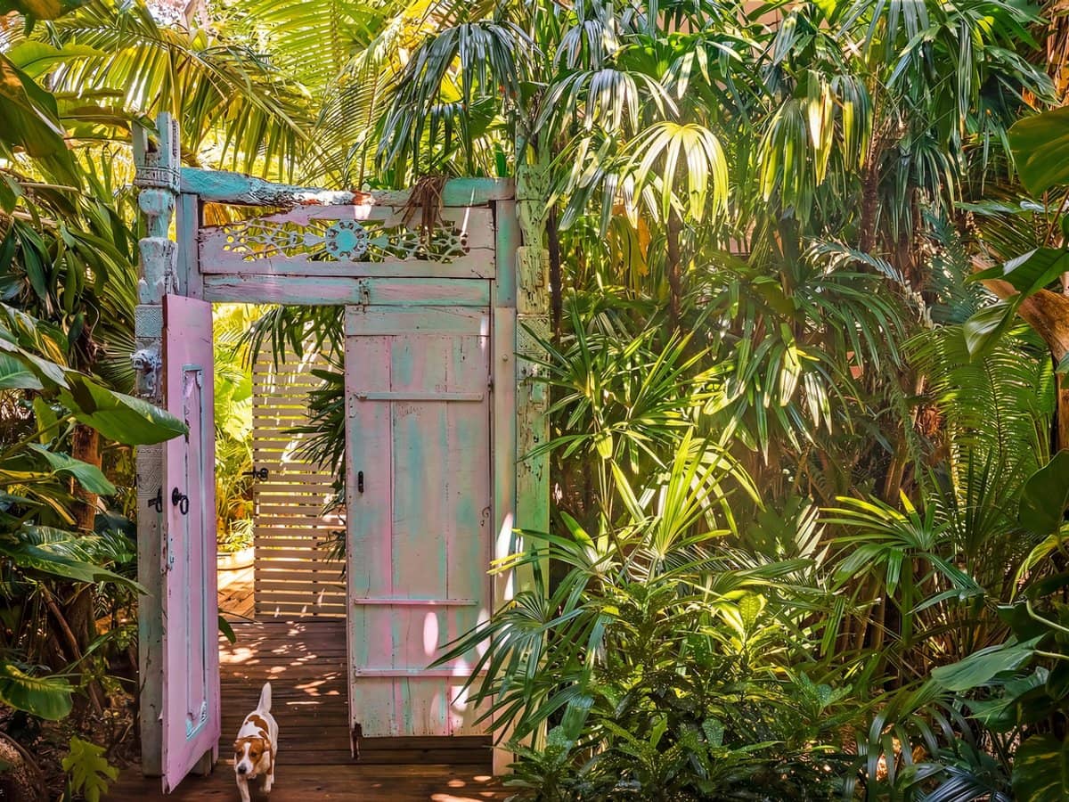 1001 Gold Coast Highway, PALM BEACH - Thumbnail 2