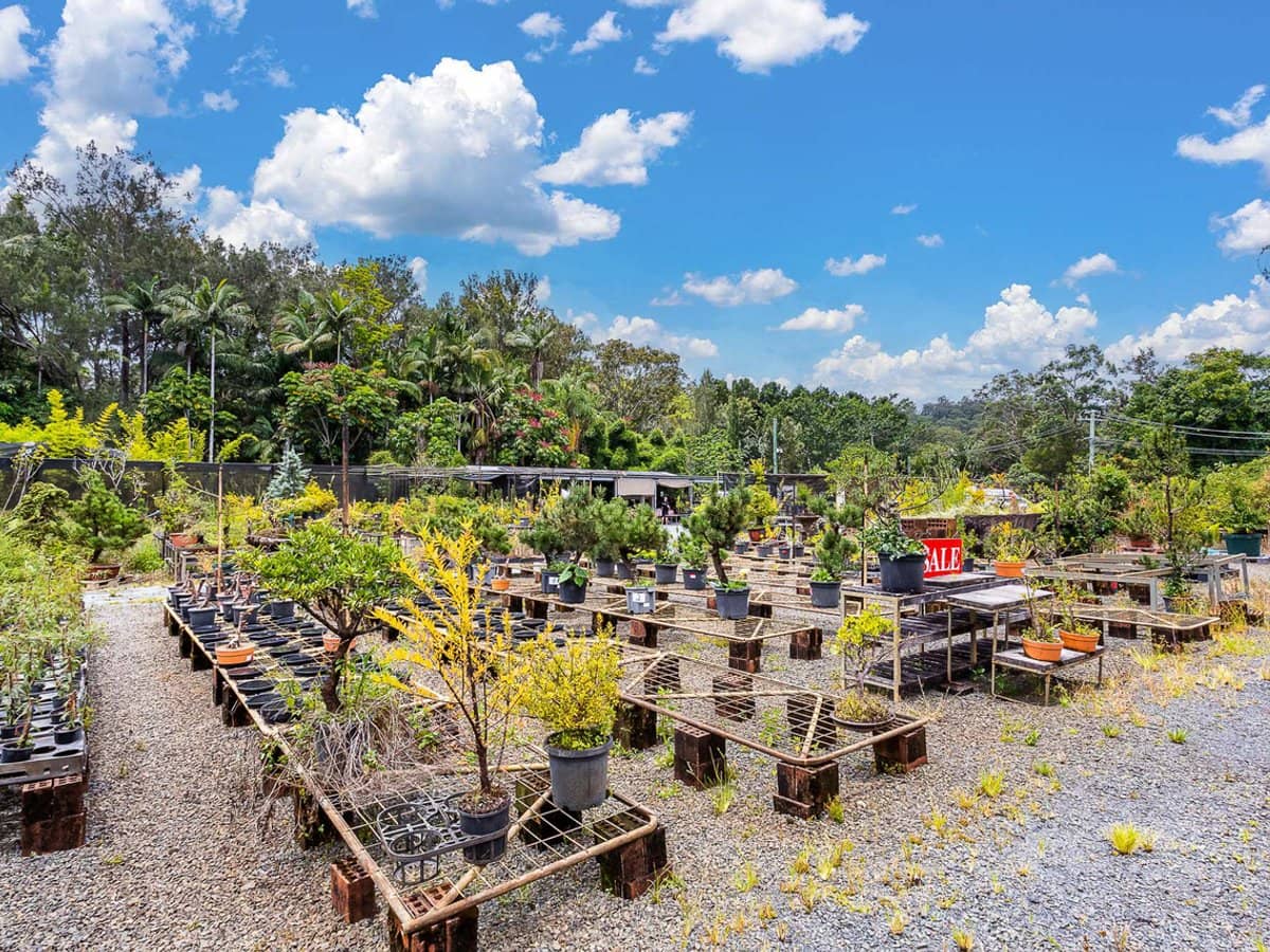 34 Berrigans Road, MUDGEERABA - Thumbnail 19