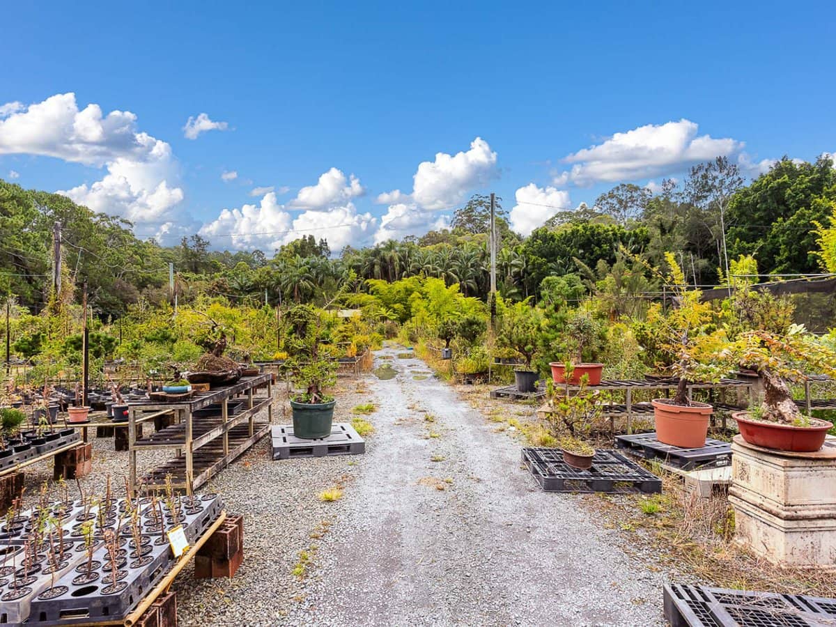 34 Berrigans Road, MUDGEERABA - Thumbnail 20