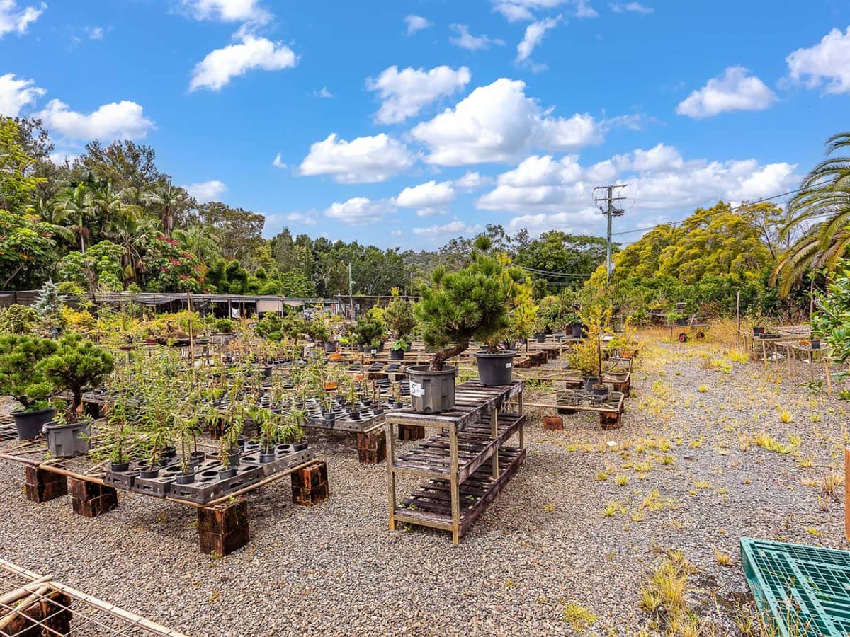 34 Berrigans Road, MUDGEERABA - Thumbnail 21