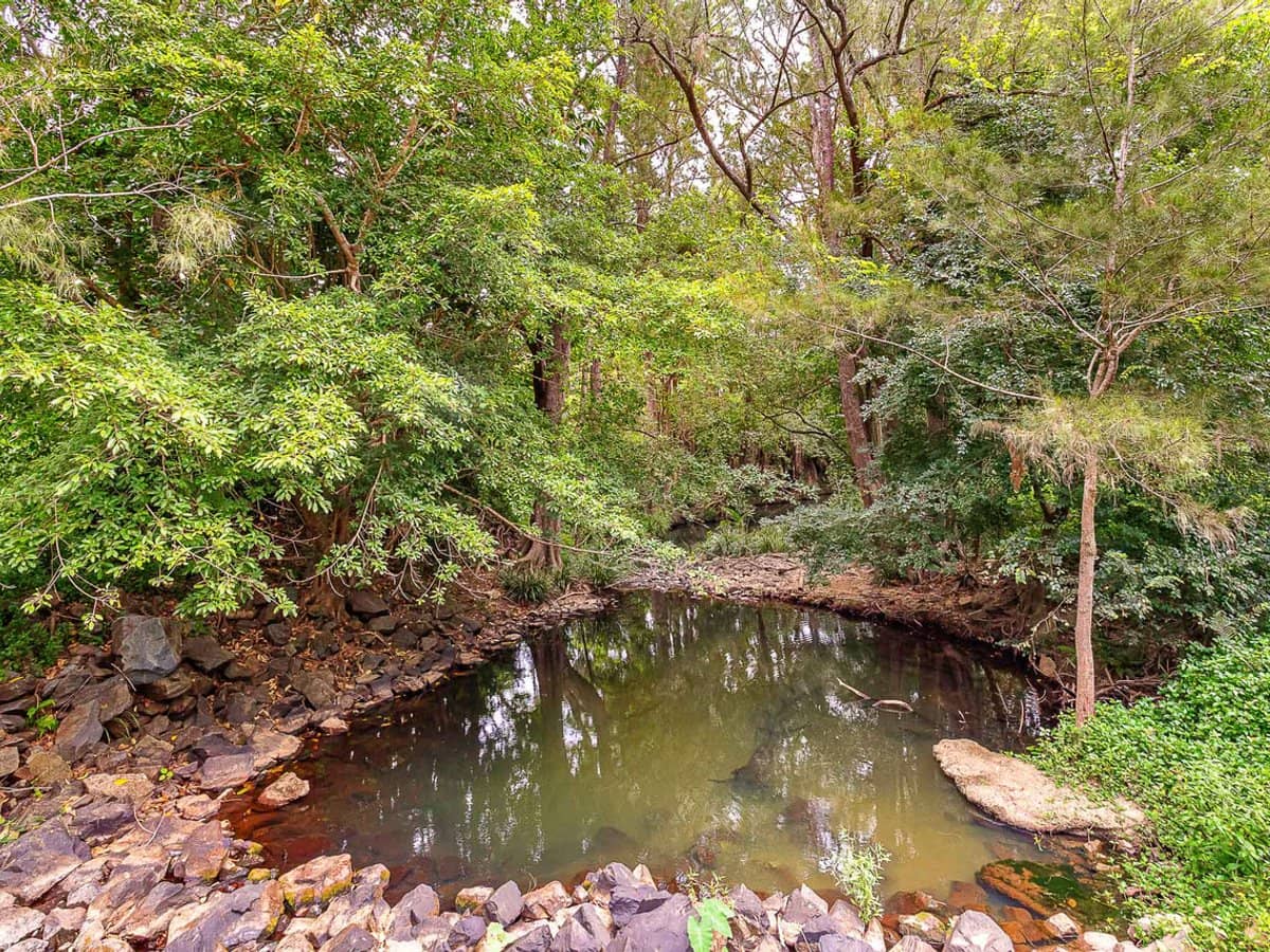 34 Berrigans Road, MUDGEERABA - Thumbnail 23