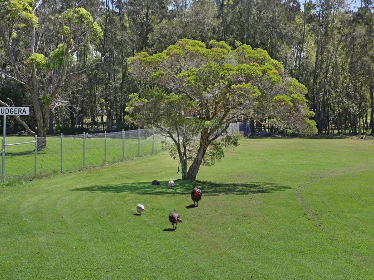 5 Daffodil Street, Tallebudgera - Thumbnail 31