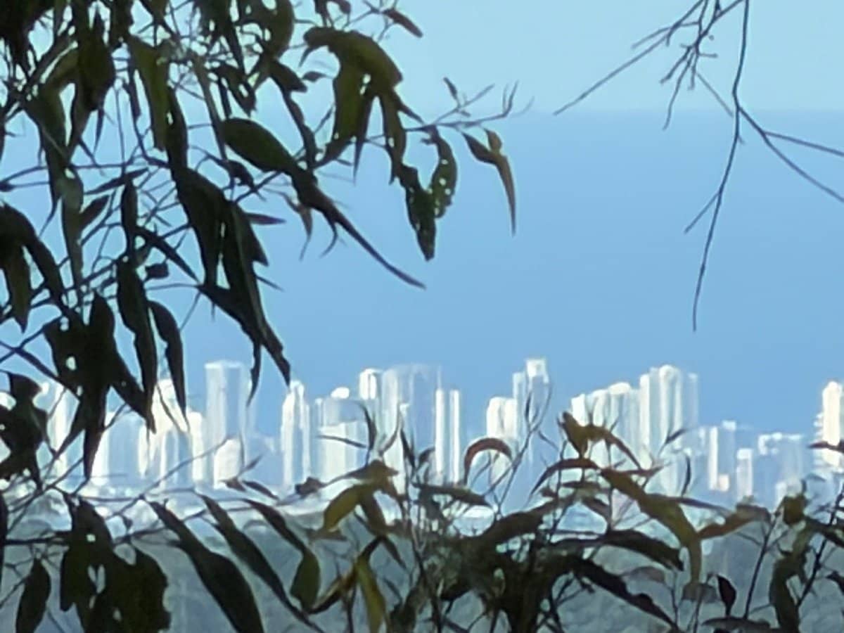 1 Mimosa Road, Springbrook - Thumbnail 1