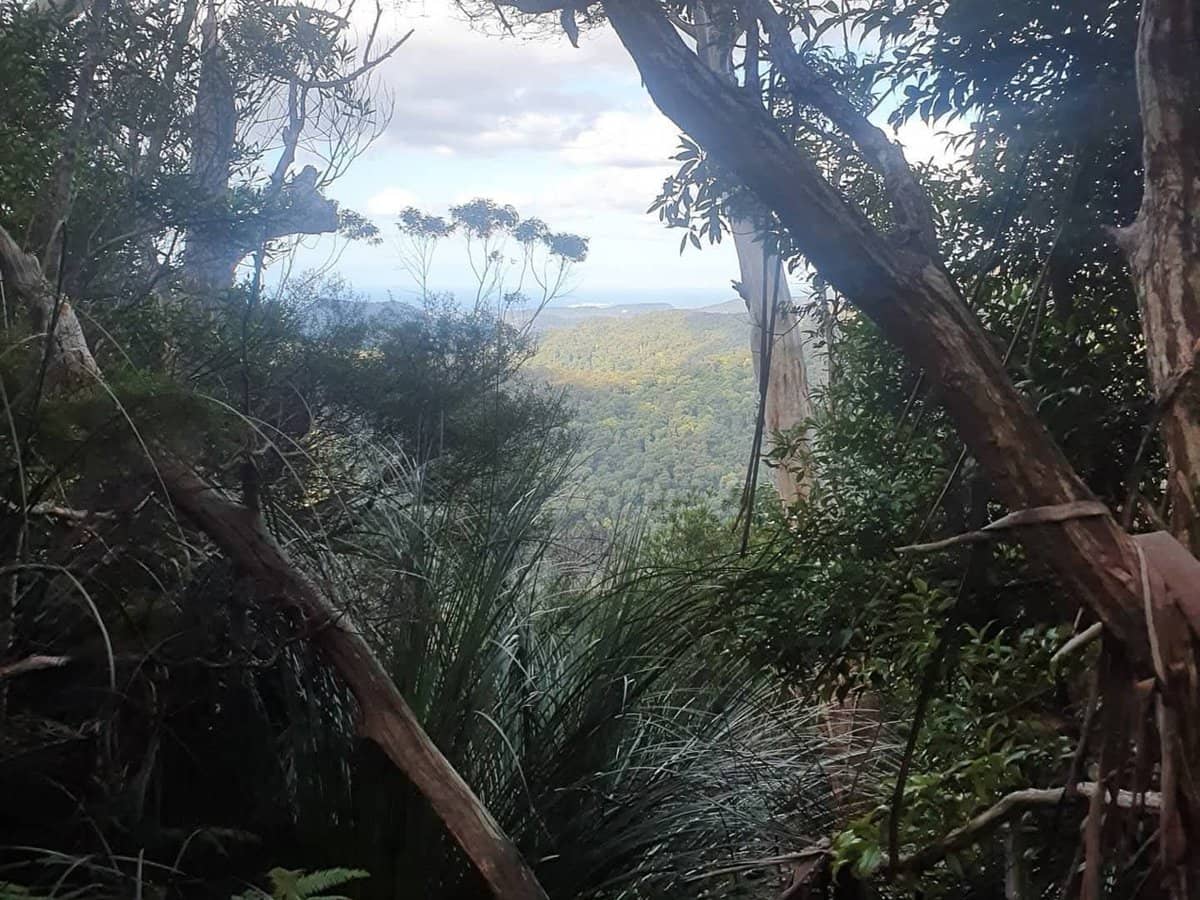 1 Mimosa Road, Springbrook - Thumbnail 2