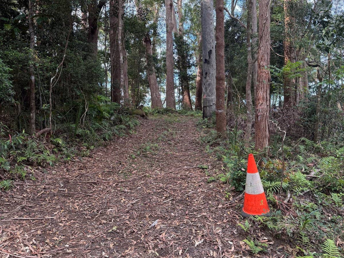 1 Mimosa Road, Springbrook - Thumbnail 4