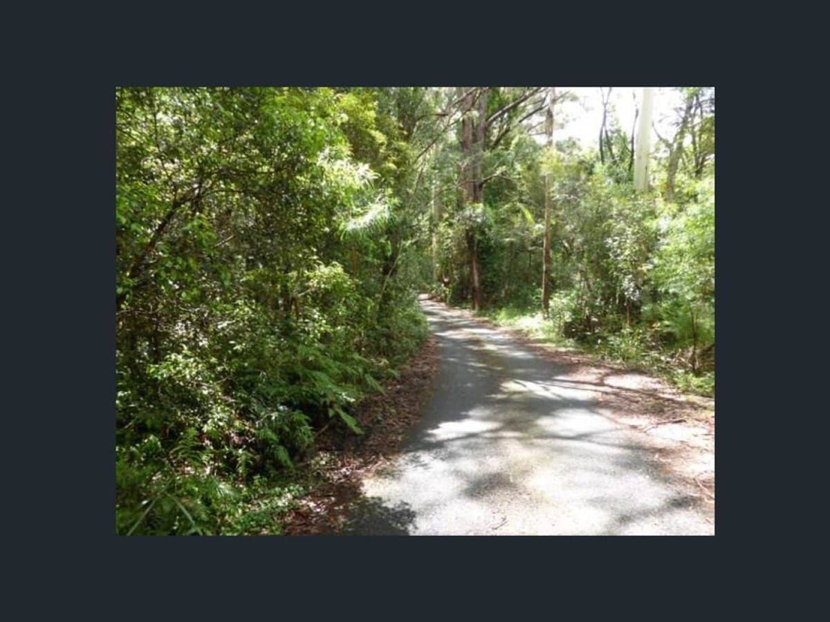 1 Mimosa Road, Springbrook - Thumbnail 5