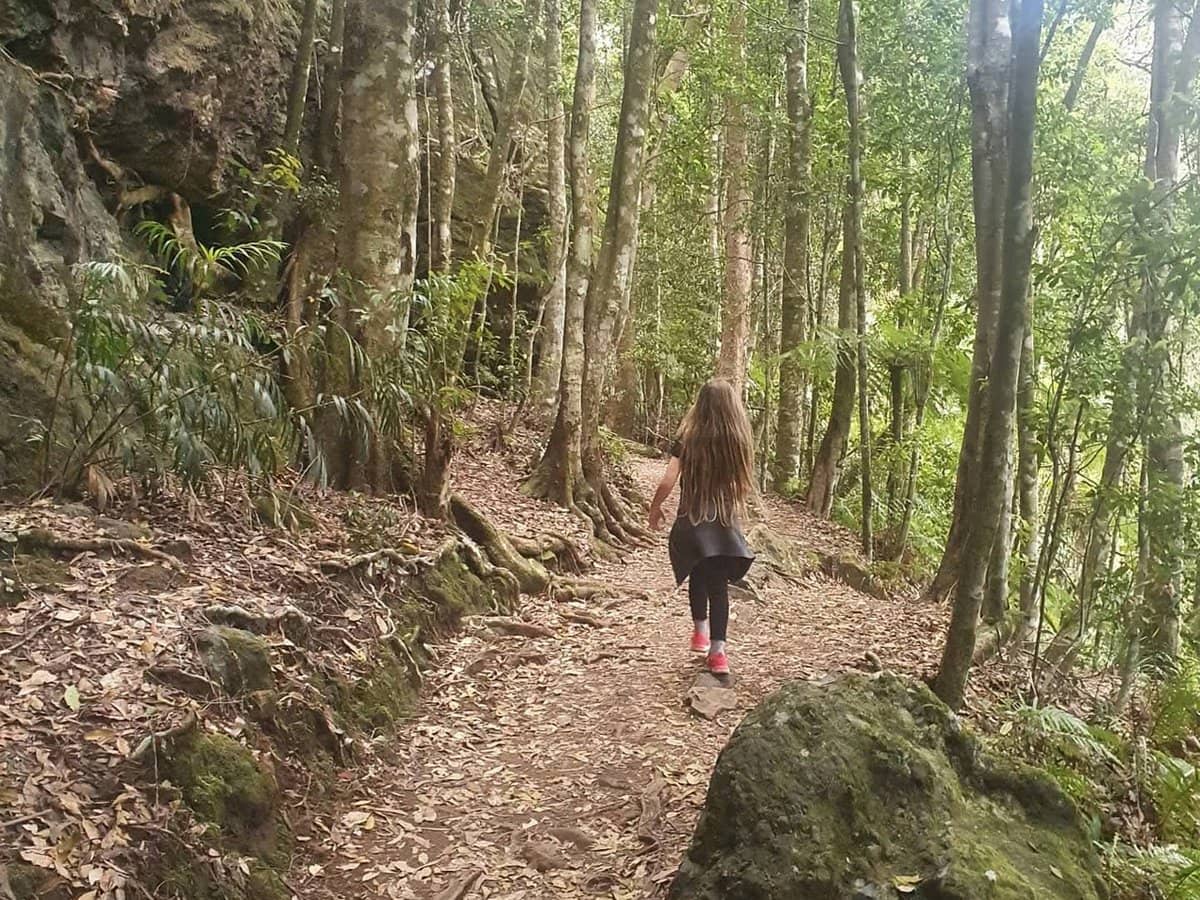 1 Mimosa Road, Springbrook - Thumbnail 13