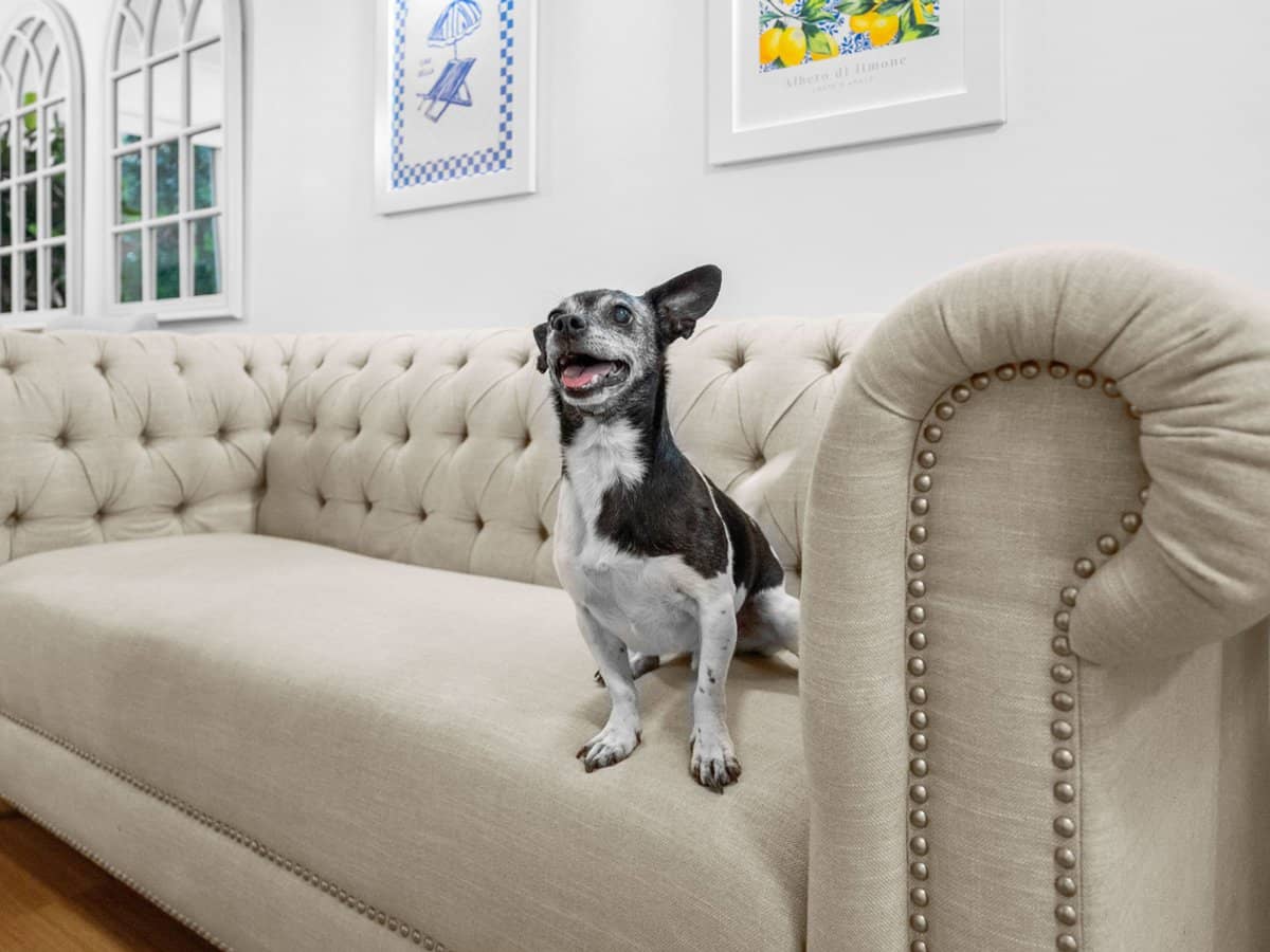 36 Beattie Road, Coomera - Thumbnail 7