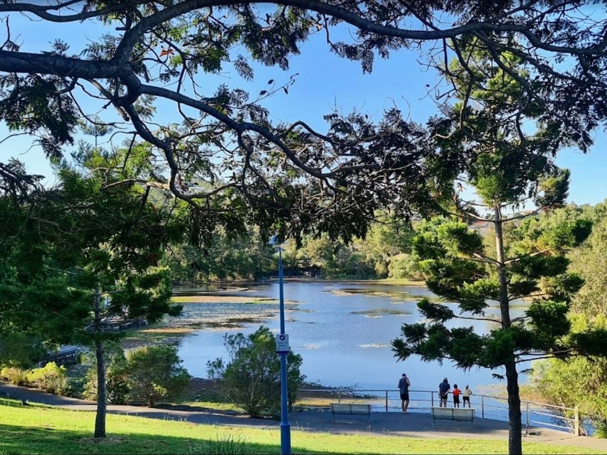 31 Archipelego Street, Pacific Pines - Thumbnail 19