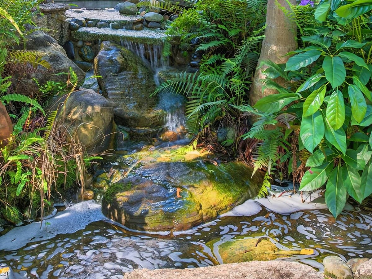 100 Cotlew Street East, SOUTHPORT - Thumbnail 17