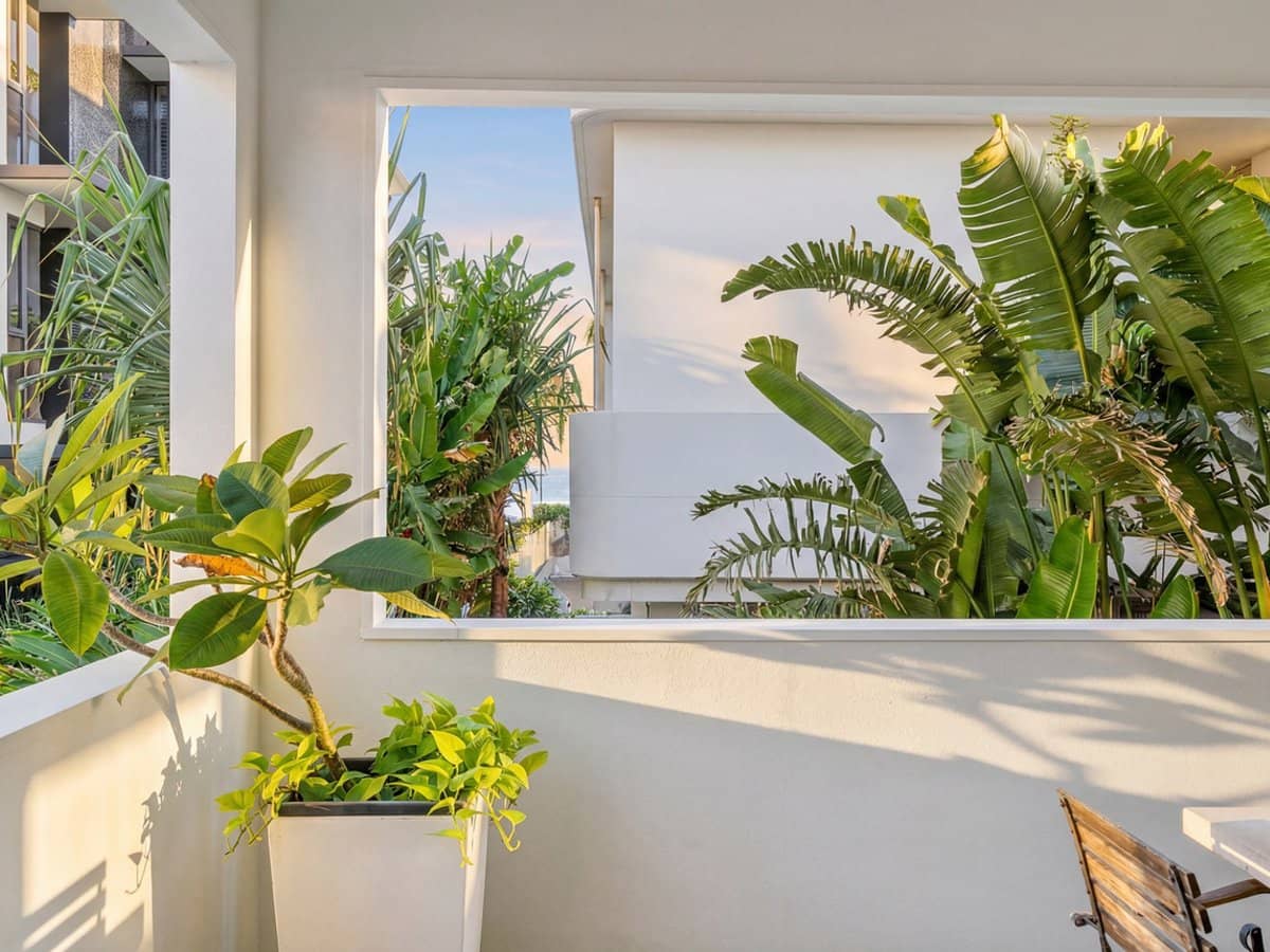 1433 Gold Coast Highway, PALM BEACH - Thumbnail 8