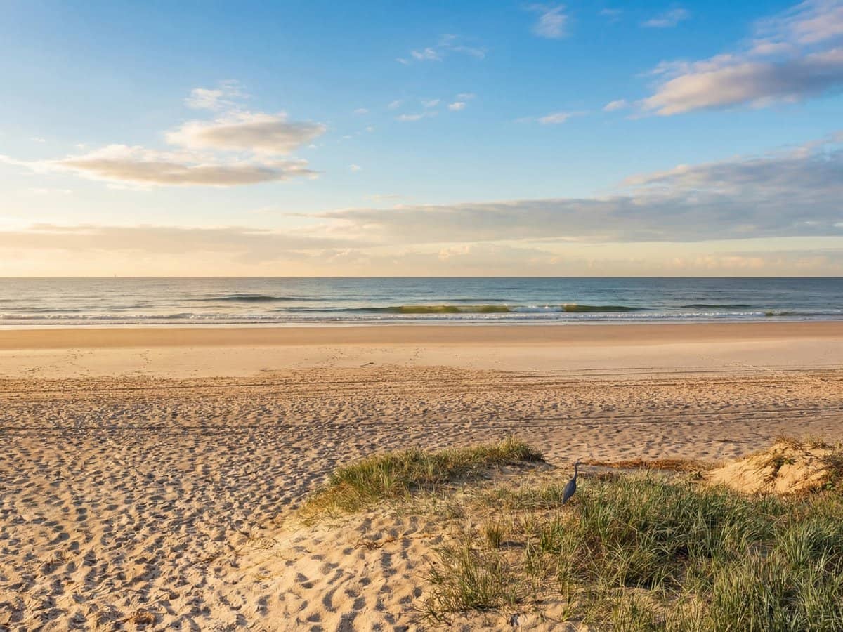 1433 Gold Coast Highway, PALM BEACH - Thumbnail 27